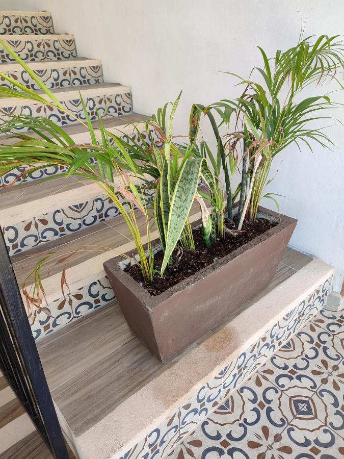 Hotel Casa Henequen Valladolid  Eksteriør billede